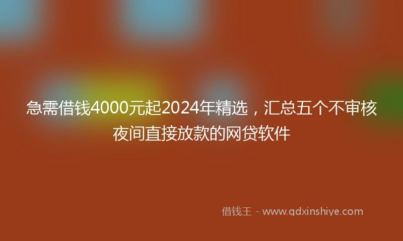 急需借钱4000元起2024年精选，汇总五个不审核夜间直接放款的网贷软件