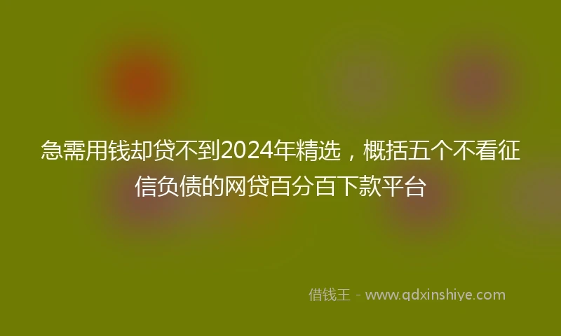 急需用钱却贷不到2024年精选，概括五个不看征信负债的网贷百分百下款平台