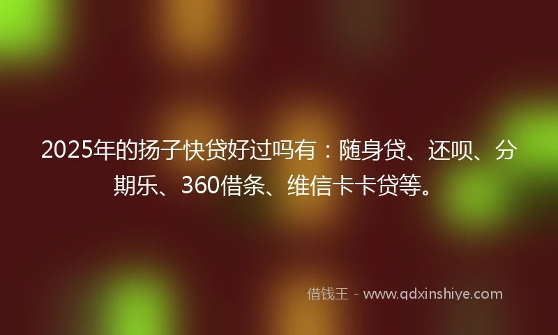 2025年的扬子快贷好过吗有：随身贷、还呗、分期乐、360借条、维信卡卡贷等。
