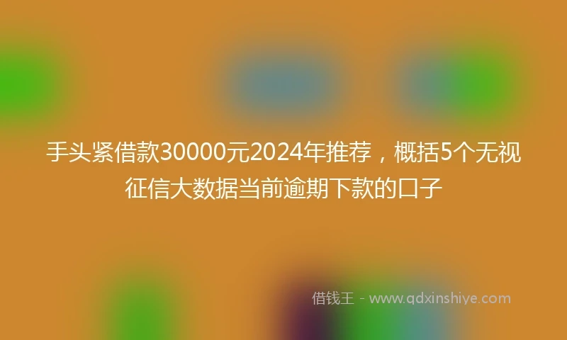 手头紧借款30000元2024年推荐，概括5个无视征信大数据当前逾期下款的口子