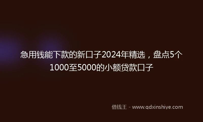 急用钱能下款的新口子2024年精选，盘点5个1000至5000的小额贷款口子