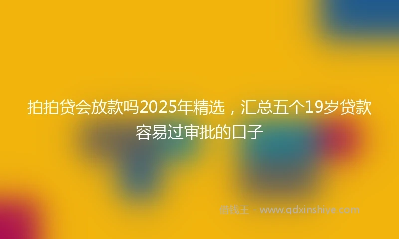 拍拍贷会放款吗2025年精选，汇总五个19岁贷款容易过审批的口子