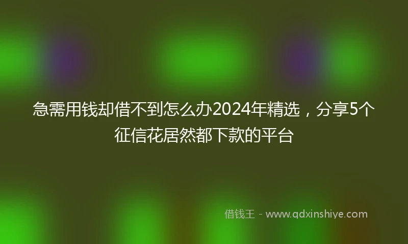 急需用钱却借不到怎么办2024年精选，分享5个征信花居然都下款的平台