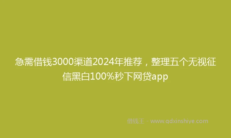 急需借钱3000渠道2024年推荐，整理五个无视征信黑白100%秒下网贷app