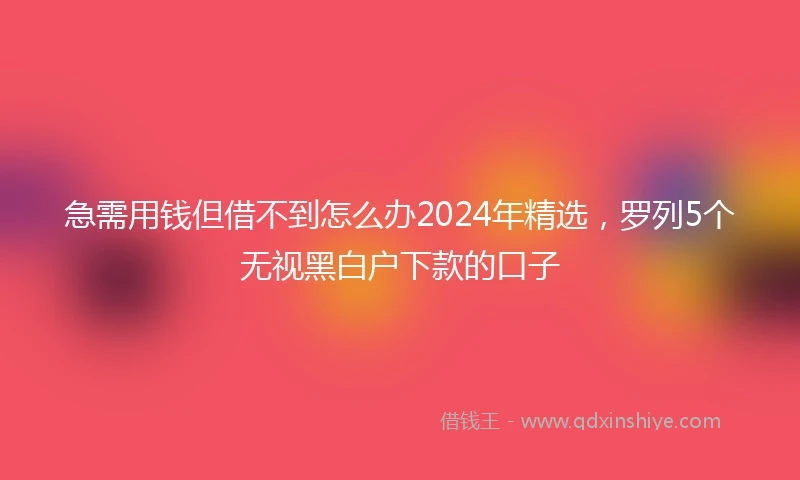 急需用钱但借不到怎么办2024年精选，罗列5个无视黑白户下款的口子