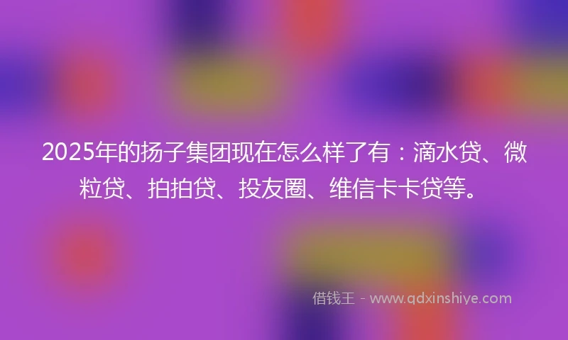 2025年的扬子集团现在怎么样了有:滴水贷、微粒贷、拍拍贷、投友圈、维信卡卡贷等。