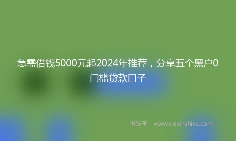 急需借钱5000元起2024年推荐，分享五个黑户0门槛贷款口子