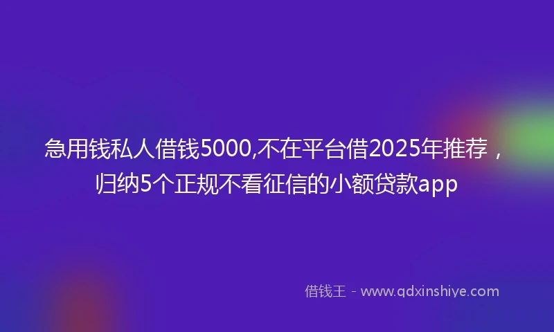 急用钱私人借钱5000,不在平台借2025年推荐，归纳5个正规不看征信的小额贷款app