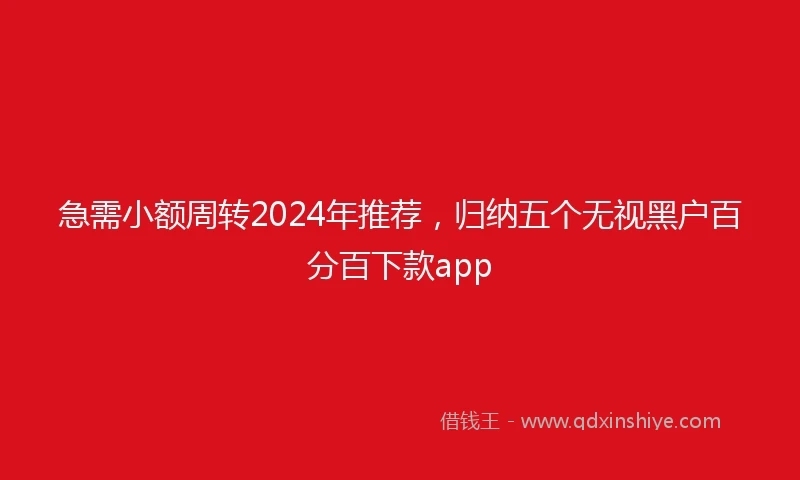 急需小额周转2024年推荐，归纳五个无视黑户百分百下款app