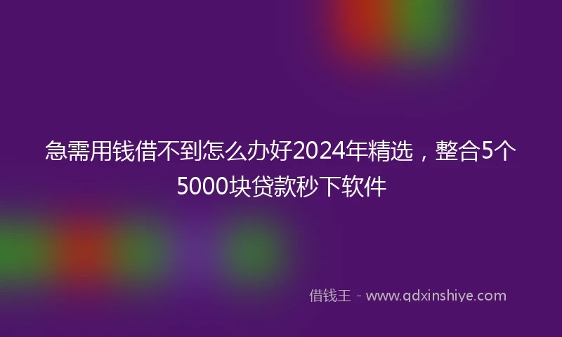 急需用钱借不到怎么办好2024年精选，整合5个5000块贷款秒下软件