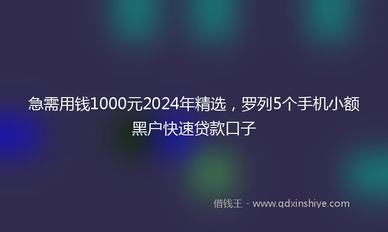 急需用钱1000元2024年精选，罗列5个手机小额黑户快速贷款口子