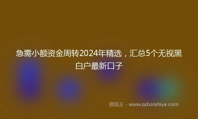 急需小额资金周转2024年精选，汇总5个无视黑白户最新口子