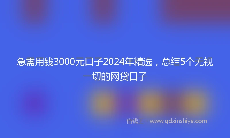 急需用钱3000元口子2024年精选，总结5个无视一切的网贷口子