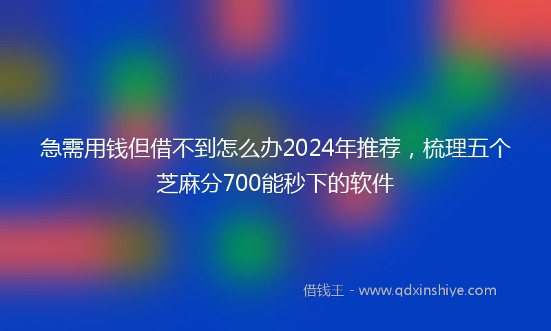 急需用钱但借不到怎么办2024年推荐，梳理五个芝麻分700能秒下的软件