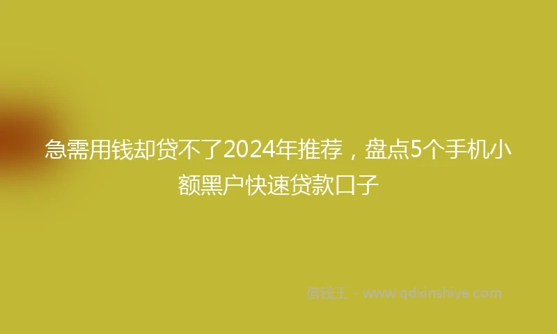 急需用钱却贷不了2024年推荐，盘点5个手机小额黑户快速贷款口子
