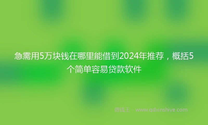 急需用5万块钱在哪里能借到2024年推荐，概括5个简单容易贷款软件