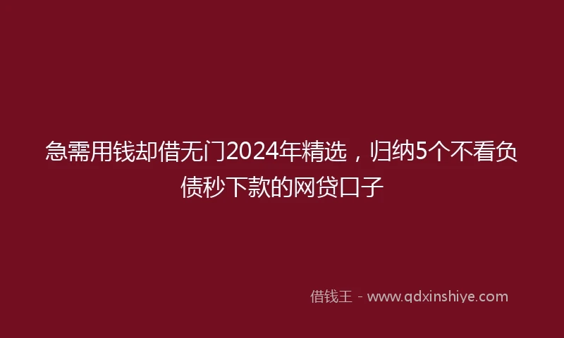 急需用钱却借无门2024年精选，归纳5个不看负债秒下款的网贷口子