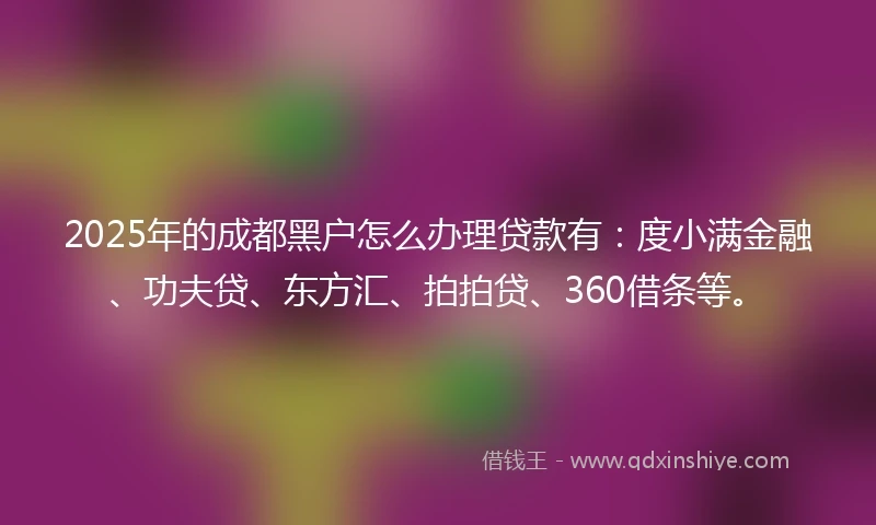 2025年的成都黑户怎么办理贷款有：度小满金融、功夫贷、东方汇、拍拍贷、360借条等。