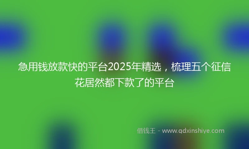 急用钱放款快的平台2025年精选，梳理五个征信花居然都下款了的平台