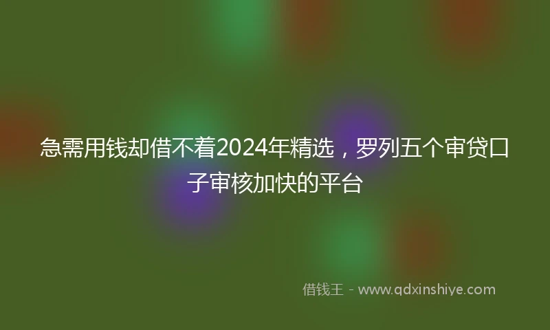 急需用钱却借不着2024年精选，罗列五个审贷口子审核加快的平台