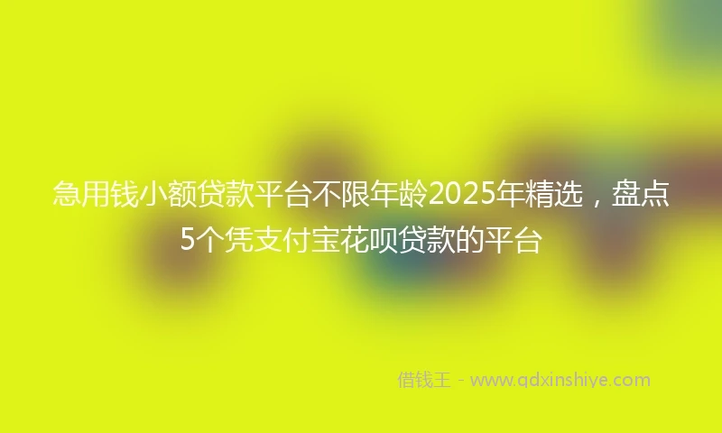急用钱小额贷款平台不限年龄2025年精选，盘点5个凭支付宝花呗贷款的平台