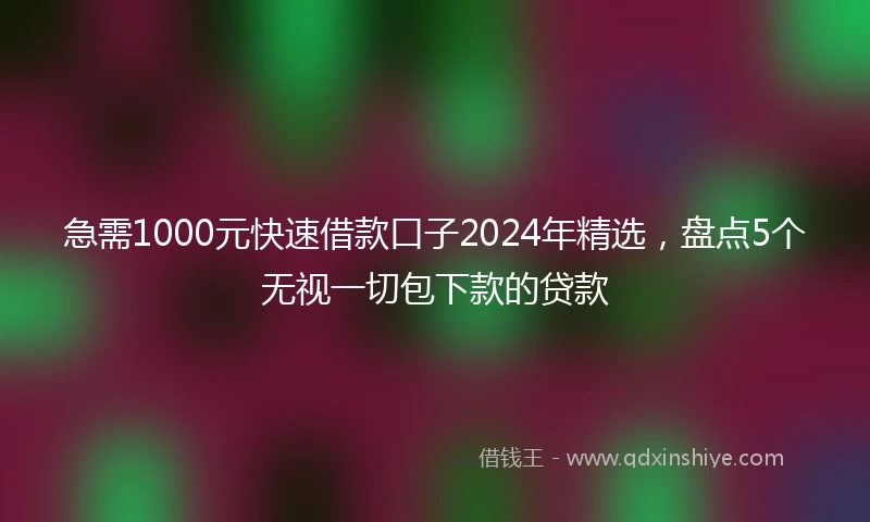 急需1000元快速借款口子2024年精选，盘点5个无视一切包下款的贷款