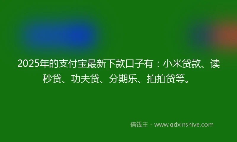 2025年的支付宝最新下款口子有：小米贷款、读秒贷、功夫贷、分期乐、拍拍贷等。