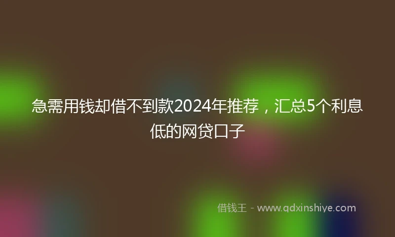 急需用钱却借不到款2024年推荐，汇总5个利息低的网贷口子