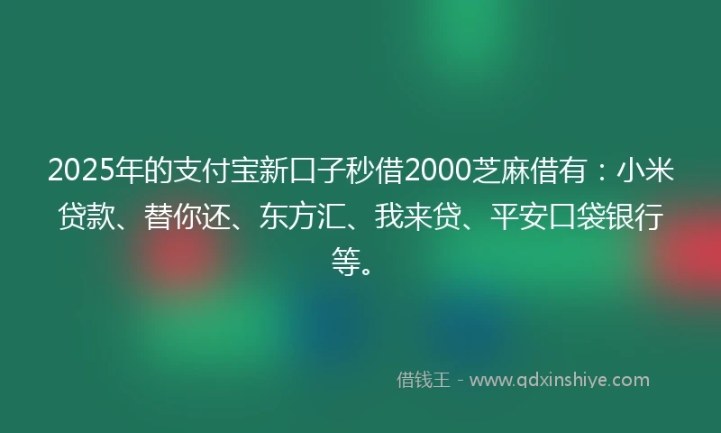 2025年的支付宝新口子秒借2000芝麻借有：小米贷款、替你还、东方汇、我来贷、平安口袋银行等。