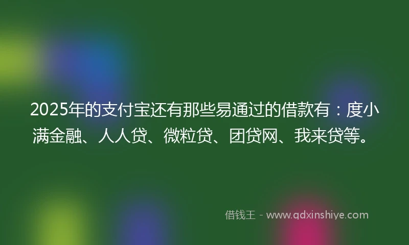 2025年的支付宝还有那些易通过的借款有：度小满金融、人人贷、微粒贷、团贷网、我来贷等。