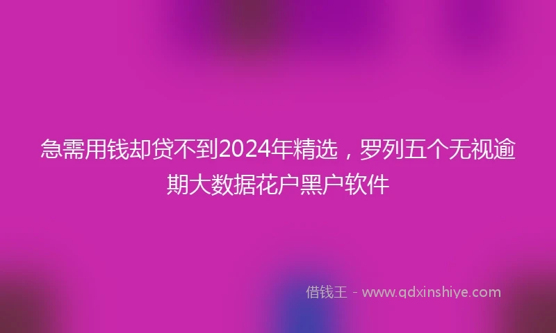 急需用钱却贷不到2024年精选，罗列五个无视逾期大数据花户黑户软件