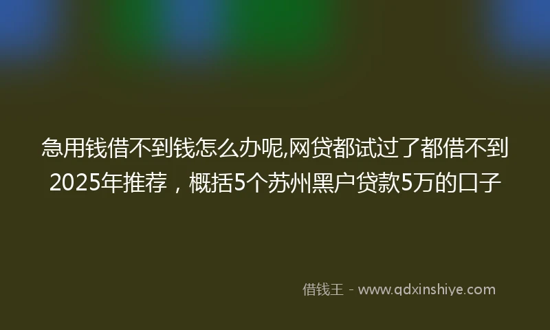 急用钱借不到钱怎么办呢,网贷都试过了都借不到2025年推荐，概括5个苏州黑户贷款5万的口子
