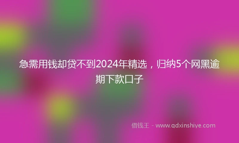 急需用钱却贷不到2024年精选，归纳5个网黑逾期下款口子