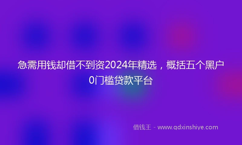 急需用钱却借不到资2024年精选，概括五个黑户0门槛贷款平台