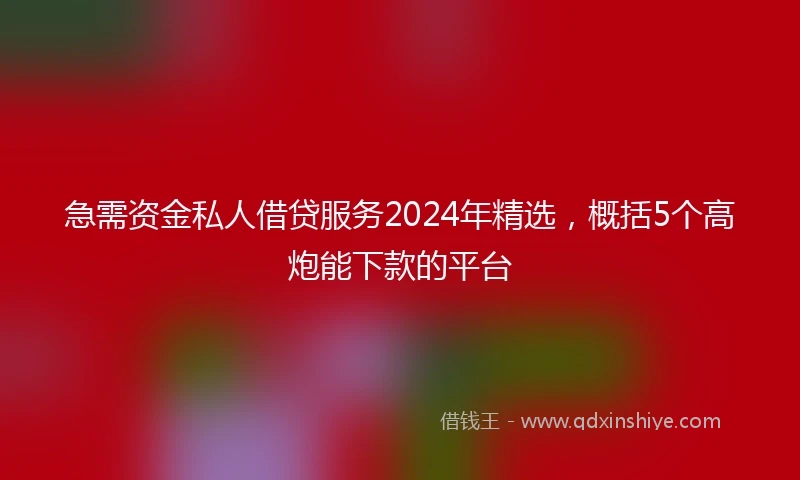 急需资金私人借贷服务2024年精选，概括5个高炮能下款的平台