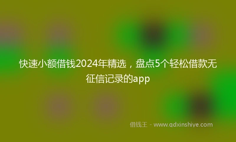 快速小额借钱2024年精选，盘点5个轻松借款无征信记录的app