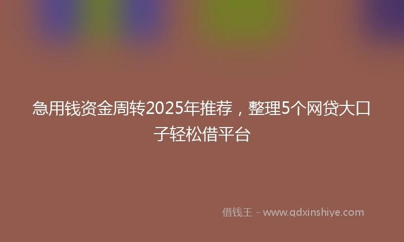 急用钱资金周转2025年推荐，整理5个网贷大口子轻松借平台