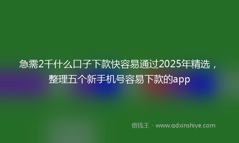 急需2千什么口子下款快容易通过2025年精选，整理五个新手机号容易下款的app