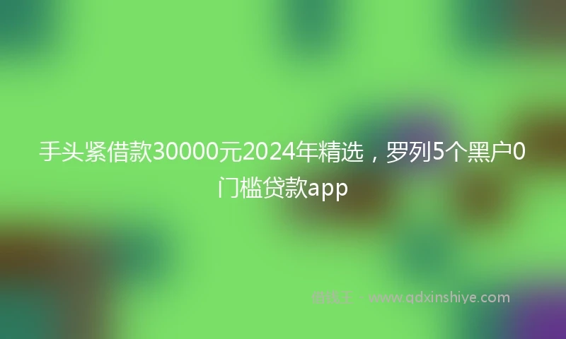 手头紧借款30000元2024年精选，罗列5个黑户0门槛贷款app
