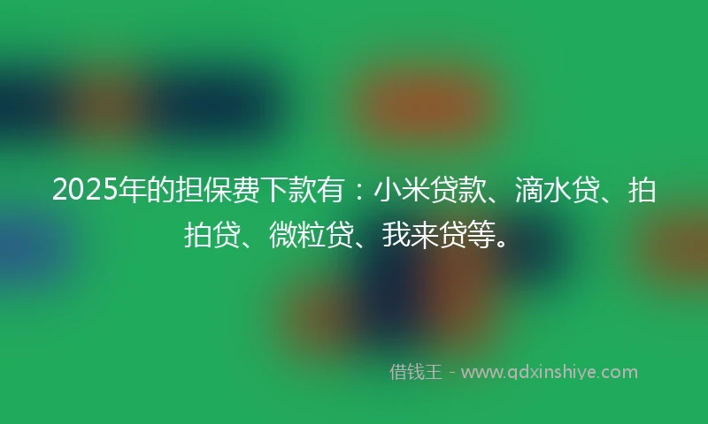 2025年的担保费下款有：小米贷款、滴水贷、拍拍贷、微粒贷、我来贷等。