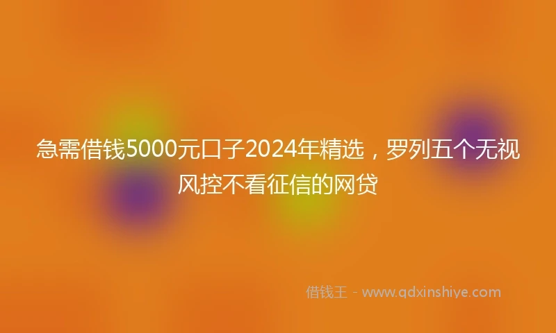 急需借钱5000元口子2024年精选，罗列五个无视风控不看征信的网贷