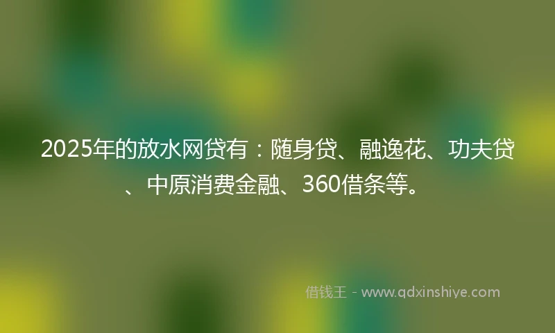 2025年的放水网贷有：随身贷、融逸花、功夫贷、中原消费金融、360借条等。
