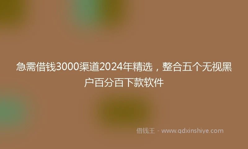 急需借钱3000渠道2024年精选，整合五个无视黑户百分百下款软件