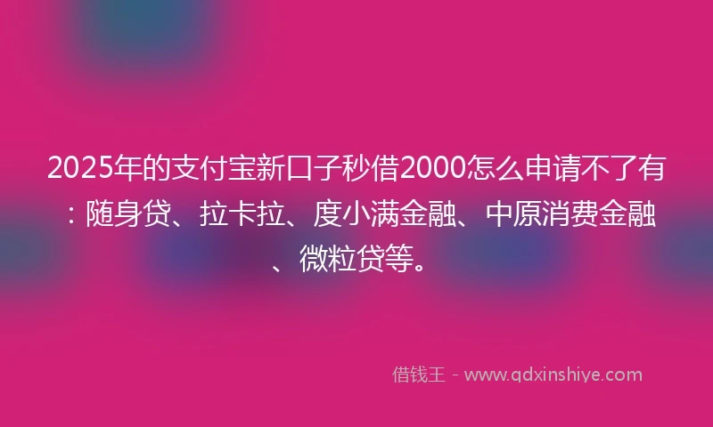 2025年的支付宝新口子秒借2000怎么申请不了有：随身贷、拉卡拉、度小满金融、中原消费金融、微粒贷等。