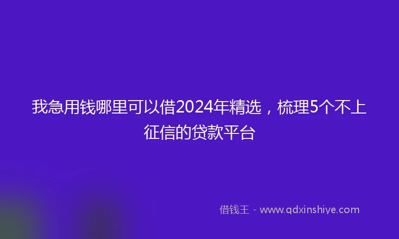 我急用钱哪里可以借2024年精选，梳理5个不上征信的贷款平台