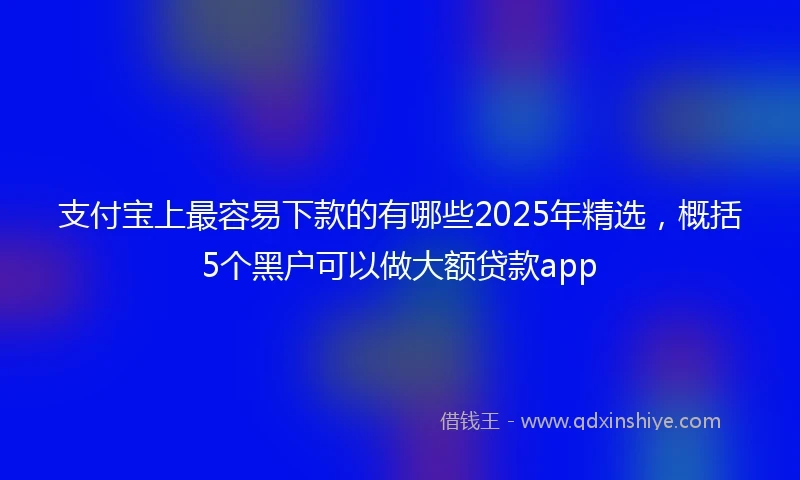 支付宝上最容易下款的有哪些2025年精选，概括5个黑户可以做大额贷款app