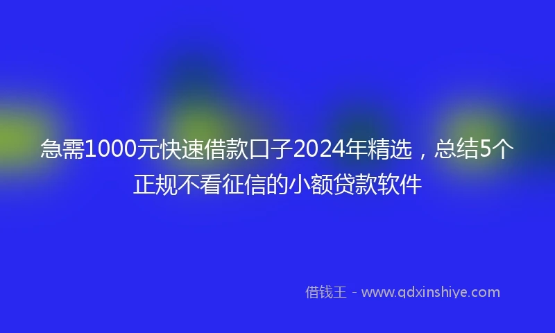急需1000元快速借款口子2024年精选，总结5个正规不看征信的小额贷款软件