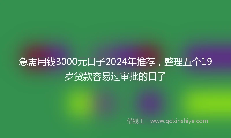 急需用钱3000元口子2024年推荐，整理五个19岁贷款容易过审批的口子