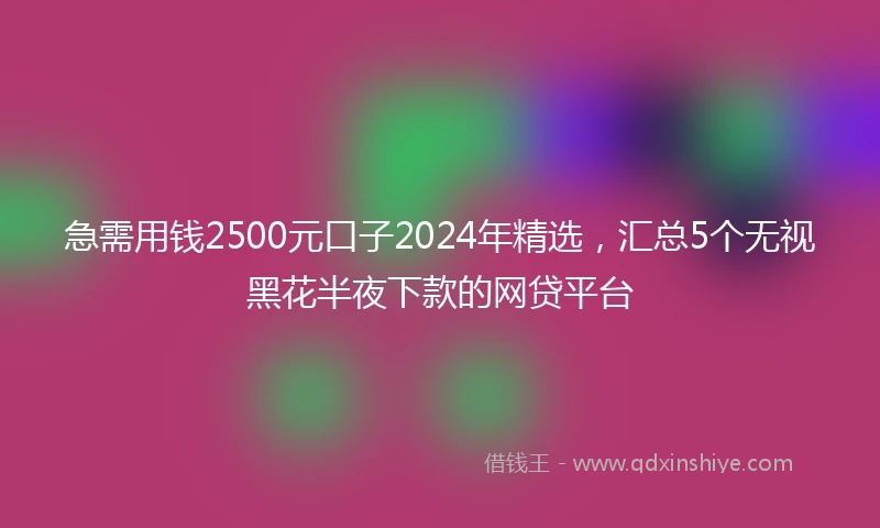 急需用钱2500元口子2024年精选，汇总5个无视黑花半夜下款的网贷平台