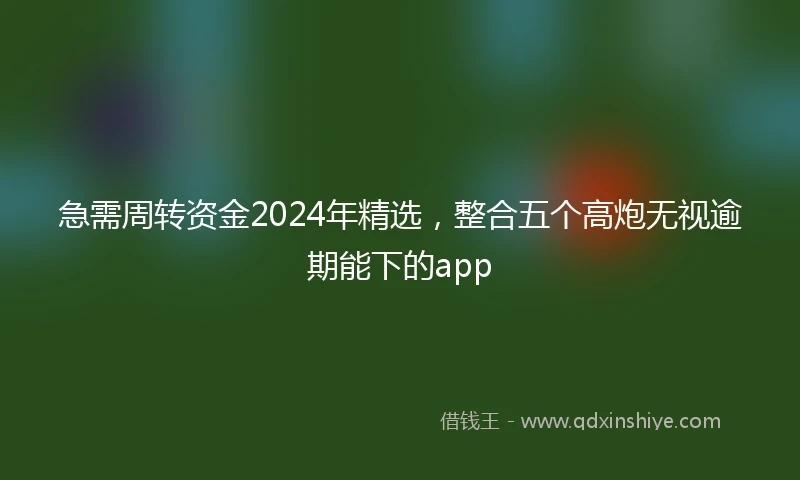 急需周转资金2024年精选，整合五个高炮无视逾期能下的app